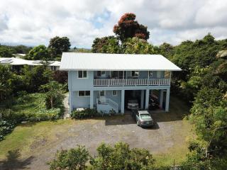 Hawaiian Ohana Home - Hilo - 0