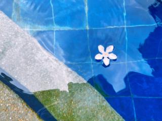 Molly Resorts - Puerto Galera - 1