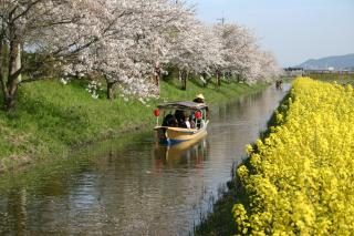 Lake Biwa Otsu Prince Hotel - Otsu - 6