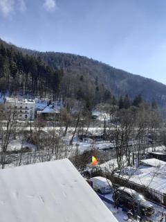 CASA RYANA SINAIA - Sinaia - 1