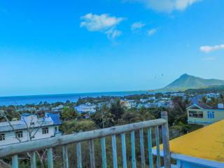 Tulsi Apartment & Studio - 4