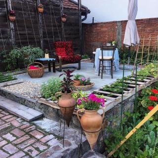 Podrum Miljević - 2