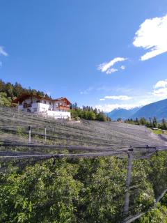 Prünsterhof Schenna - 0