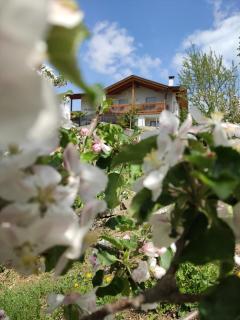 Prünsterhof Schenna - 2