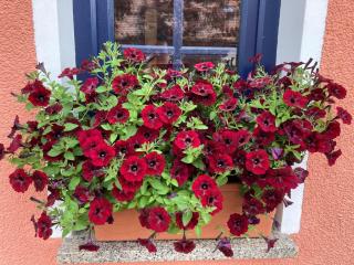 Ferienwohnung Helbing - 6