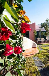 Villa Conchiglia blu con piscina - Ischia - 3