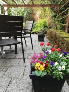 Pension Anja Heil - Meißen - 6