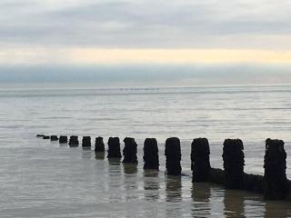 Stay in our beautiful 1850’s Coastguards Cottage. - Felpham - 1