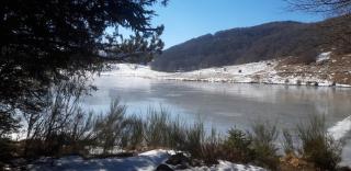 Gîtes chez Daniel "Appartement Cevennes" - 8