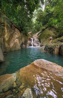 Taorayiná nature lodge- immersed in the forest - El Zaino - 3