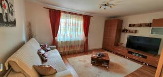 Apartment Cristian - Timişoara - 0