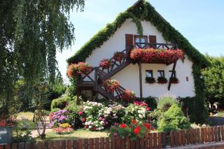 Apartment Route du Vin Centre Alsace - Orschwiller - 0