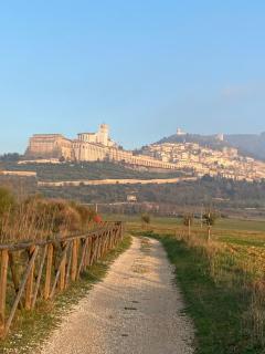 B&B Domus Benedicta - Asís - 8