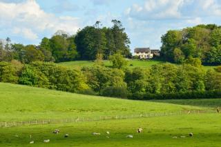 Dromard House - Enniskillen - 0