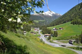 Gasthof Waldesruh - Oetz - 4
