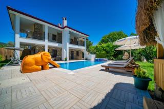 Lemon Villa Fethiye - Kayakoy - 8