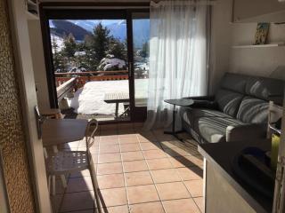 Au coeur des 2 alpes, appartement avec très belle terrasse - 0