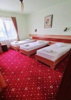 MOTEL COOL - Bărcăneşti - 9
