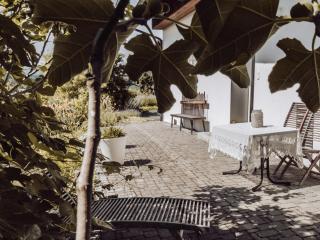 WINEHOUSE Living - Leutschach - 4