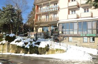 Hotel Pineta - 2
