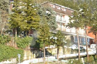 Hotel Pineta - 1