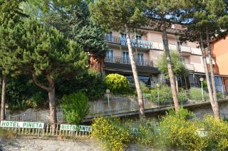 Hotel Pineta - 7