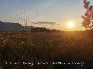 Beste Zeit Ferienwohnung - Grassau - 6