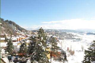 Hotel Pineta - 5