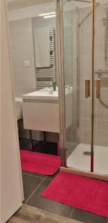 Appartement St Aignan sur Cher centre - Saint-Aignan - 2