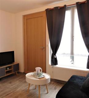 Appartement St Aignan sur Cher centre - Saint-Aignan - 1