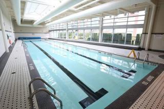 Beautiful 1 BR in the Heart of Downtown: Parking, Pool & Gym - 0