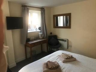 The Swan Inn Newport - 4