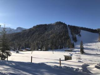 Apartment Silberwald - 3