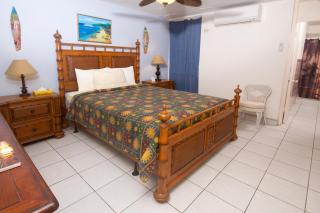 Sand Castle on the Beach - Adults Only - Frederiksted - 8
