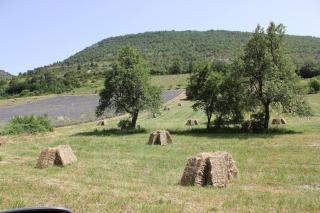 le mas de leoux - - 6