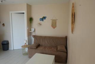 Chez Loulou, appartement T2 au Manganao, piscine et plage - 5