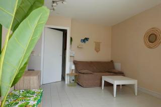 Chez Loulou, appartement T2 au Manganao, piscine et plage - 3