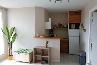 Chez Loulou, appartement T2 au Manganao, piscine et plage - 6