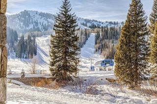 Stay in Solitude - Creekside 102 - 9