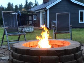 Modern lakeside cottage & boat near Isaberg - 2