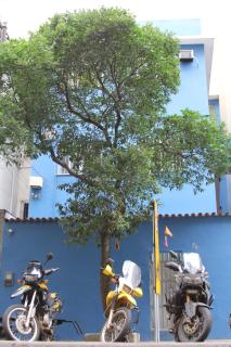 Copacabana Hostel - Río de Janeiro - 0