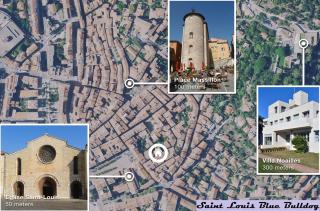 Le Saint Louis Blue Bulldog - 5