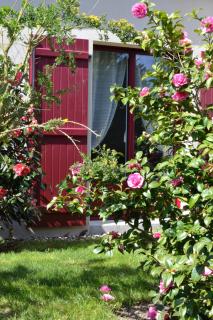 Le Tertre Gatinais - Saint-Briac-sur-Mer - 9