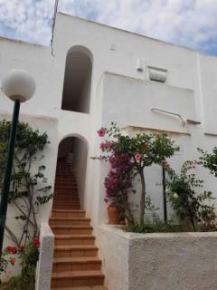 Casa el Jardin de Indalo - Mojacar Playa - 1