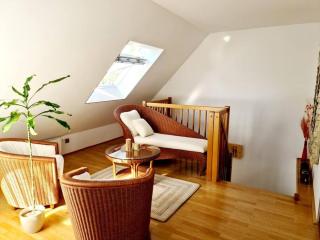 luxury 4 bedroom roof apt with 3 balconies & view - Vienna - 8