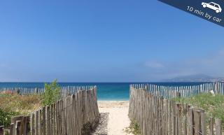 Le Saint Louis Blue Bulldog - 1