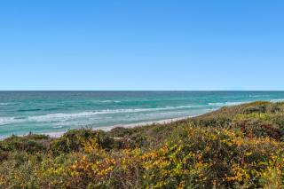 The Palms at Seagrove - Santa Rosa Beach - 8