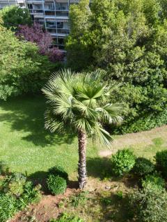 10mm a pied des plages, appartement olympe climatisé - Antibes - 1