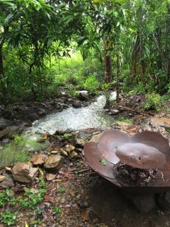 Butterfly Studio - Proserpine - 4