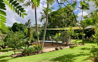 Butterfly Studio - Proserpine - 6